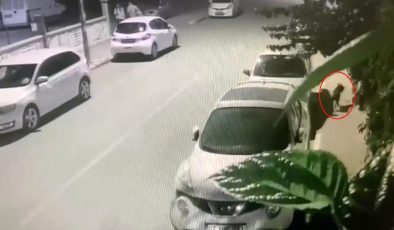 Antalya’da pitbull dehşeti! Köpeğiyle birlikte saldırıya uğrayan kadın yaralandı